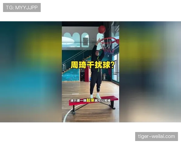 篮球规则详解:干扰球如何判定及违例处理