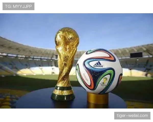 巴西队2026世界杯夺冠概率分析 桑巴军团能否第七次捧起大力神杯